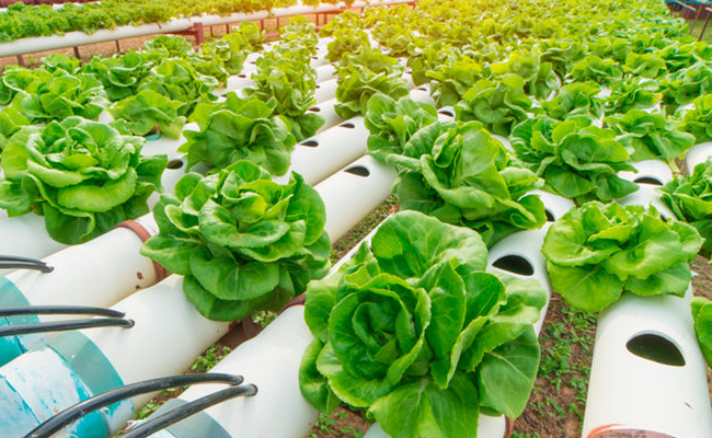 Download free bootstrap 4 landing page, free boootstrap 4 templates, Download free bootstrap 4.1 landing page, free boootstrap 4.1.1 templates, meyawo Landing page